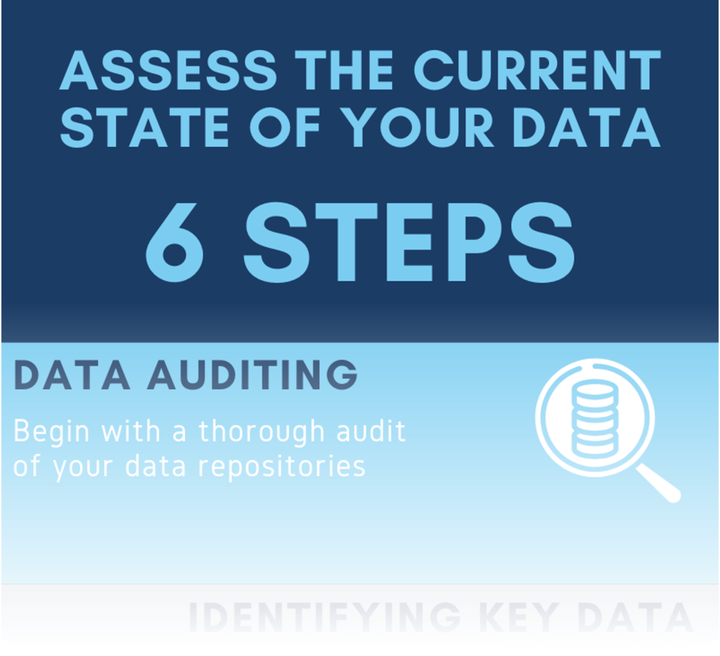 Download - 6 Steps to Assess Your Data